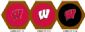 Wisconsin Badgers Game Table Cloth